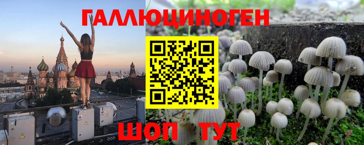 Псилоцибиновые грибы мицелий Урай