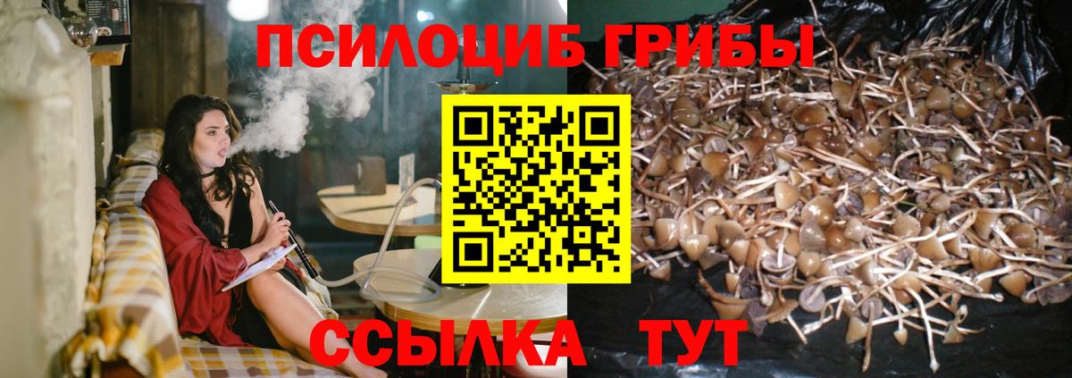 Псилоцибиновые грибы ЛСД  Вход с VPN  Урай 